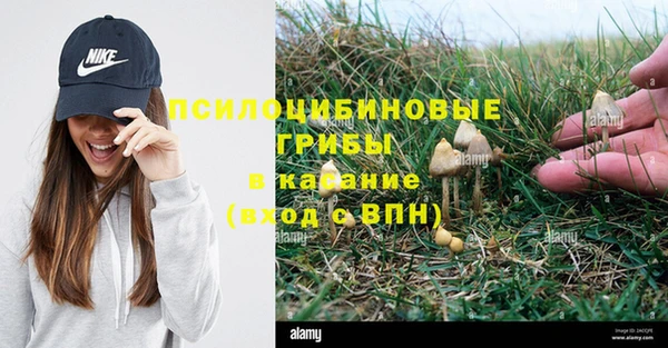 эйфоретик Бугульма