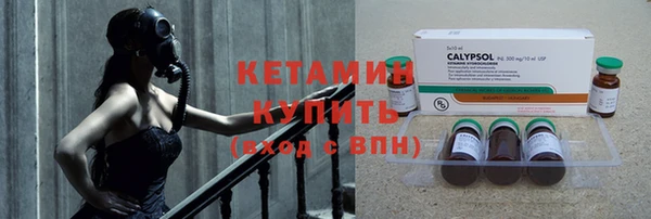 СК Бронницы
