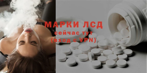 СК Бронницы