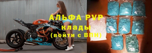 СК Бронницы