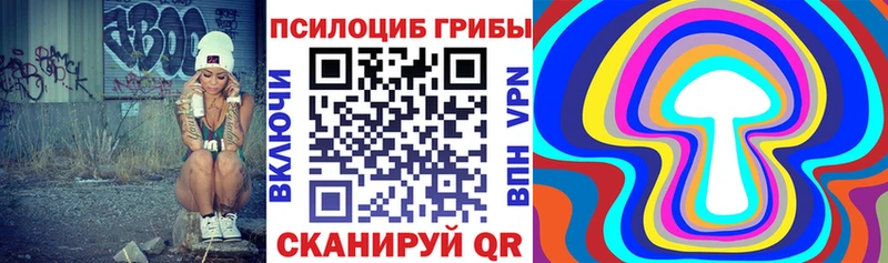 где продают   Малаховка  Псилоцибиновые грибы мицелий 